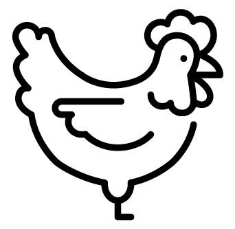 chicken-icon