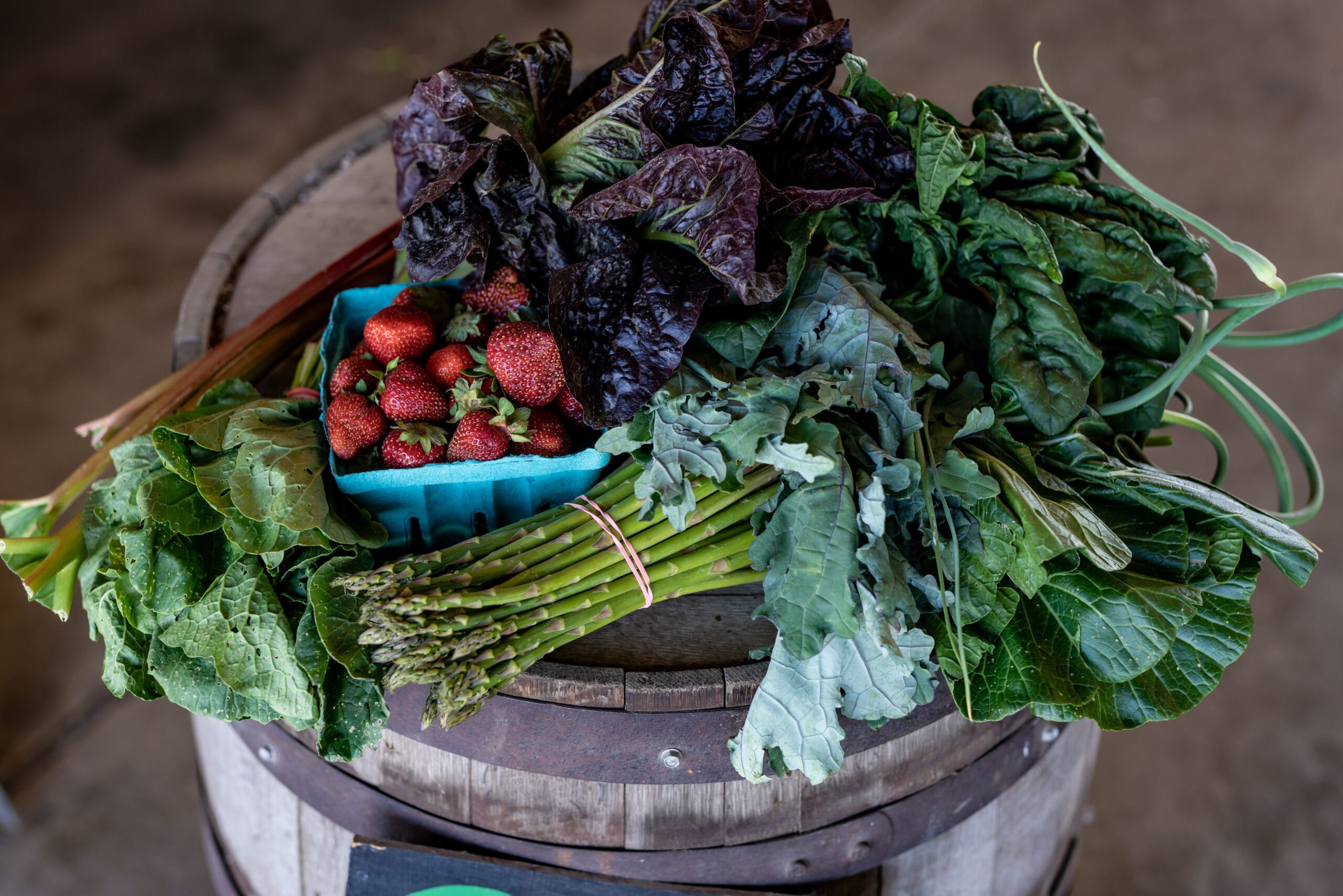 Greg's CSA 2022 U-Pick Fields