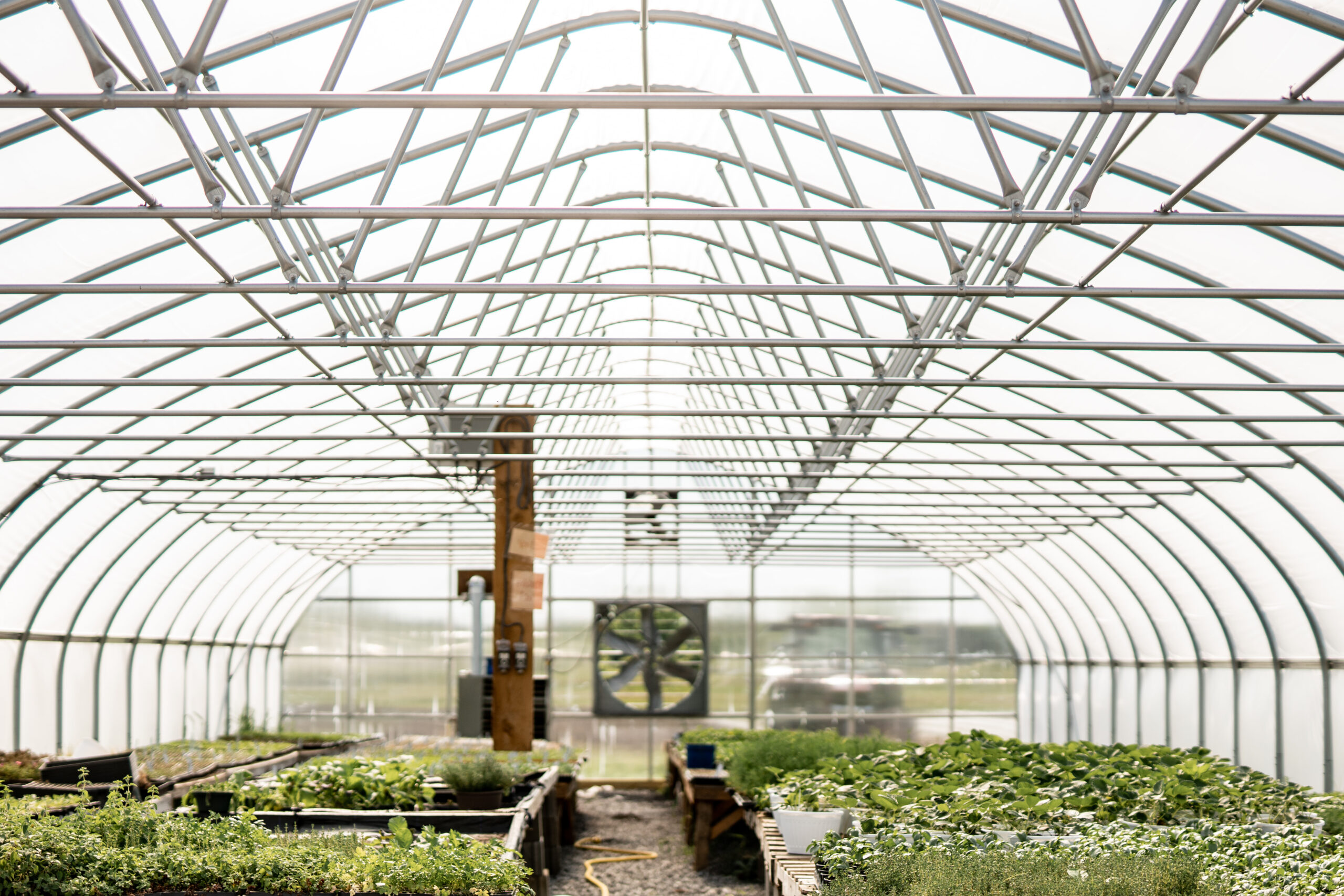 Greg's CSA 2022