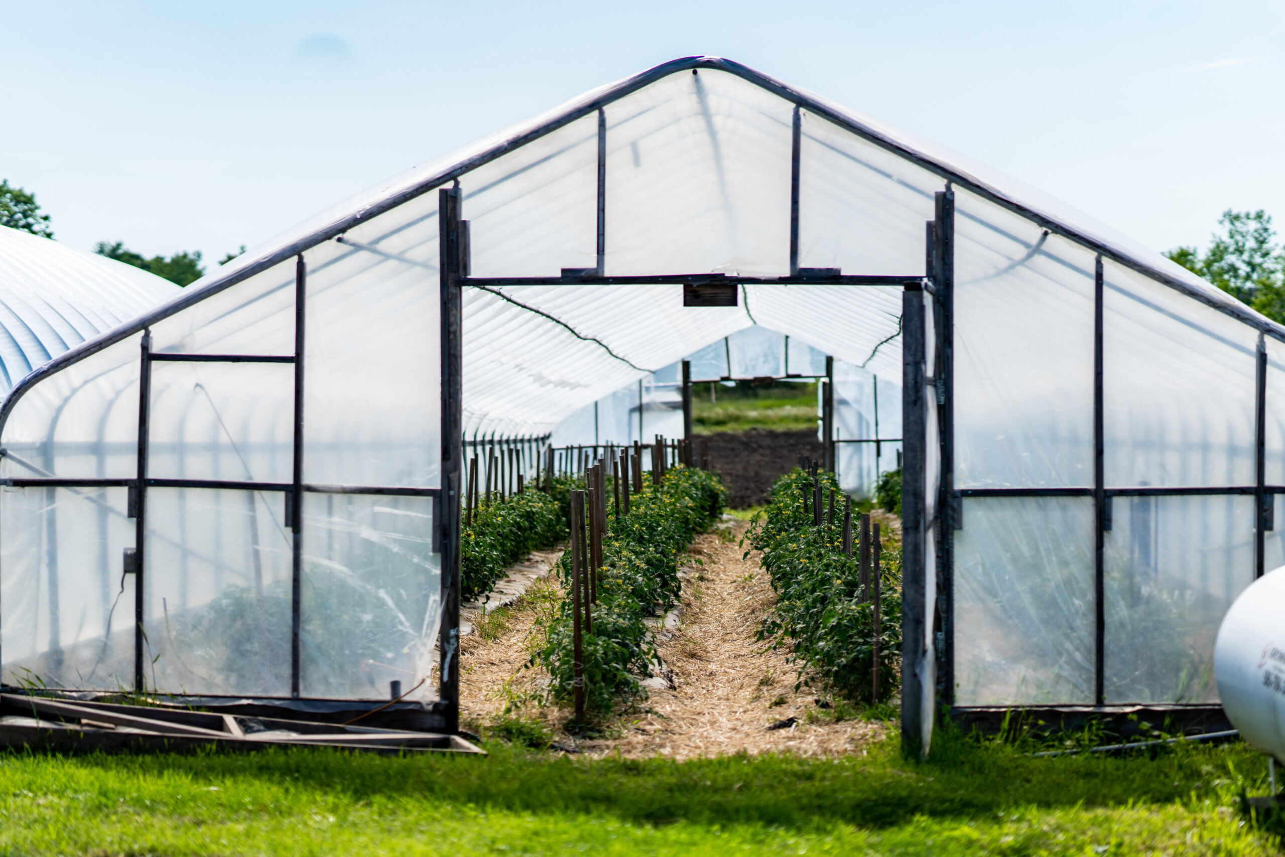 Greg's CSA 2022