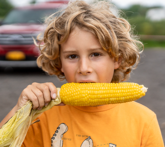 Screenshot 2023-11-03 111235