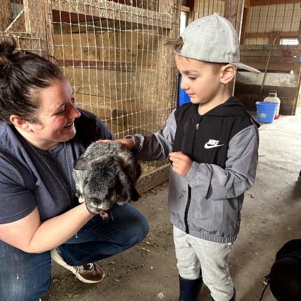 Field Trips on the Farm a child on a field trip pets a rabbit on the farm